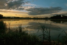 Morgen Creek # 2 / *****