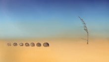 "CARAVAN" and "Mirage" / ***