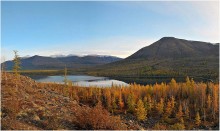 Autumn on the Taimyr / ***