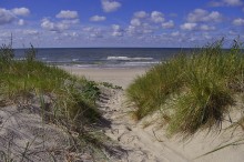 Path in the dunes / ///////