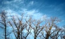 Reach to the skies / ********