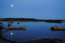 full moon / **********