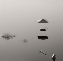 Reflection / ***
