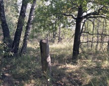 Pillar ... / ***