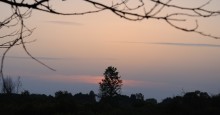 Sunset / ***