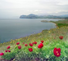 Spring hills are full of color and moisture / ***