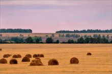 Schlaf Agronom. / ********