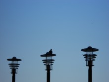 Three Plus Two / ..................