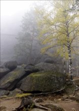 foggy day / ***