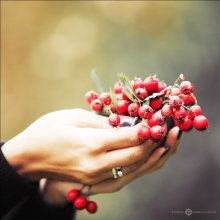 breathe ... / ***