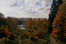 About the Fall ... / ***