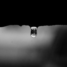Drop / _!!!_
