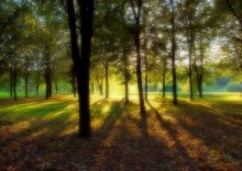 September evening ... / http://www.youtube.com/watch?v=QKX_if0hWp4&feature=related
