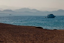 Evening diving in the Red Sea / ***