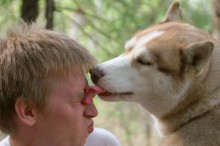 Liebe und Zuneigung / ........