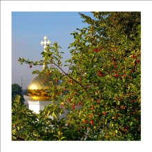 Orthodox Apples / ......