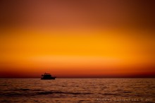 Lonely Wanderer / ***
