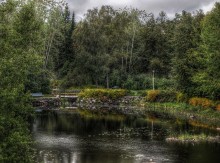 park / ***