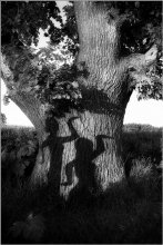 Schattenspiel / __________