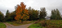 Autumn / ***