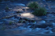 In the moonlight. / *****