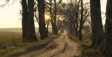 Road to the story / *****