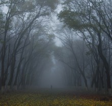 Loneliness / ***