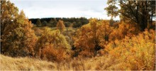 Autumn / ..................................
