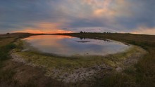 Saucer full sunset / ***