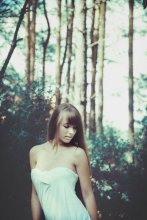 Forest / ***
