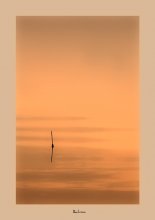 Dialogues about fishing / *************