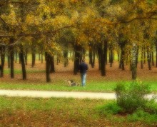 Autumn walk ... / http://www.youtube.com/watch?v=qwq8Xg_b730&feature=fvsr