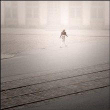 fog .. Rig .. / ***