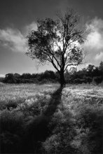 Abandoned by Heaven / - - - - - - ------- - - - - - - -