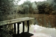 Brücke / ***