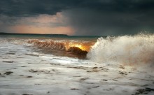Element / ***