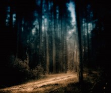 Ghost forest / *******
