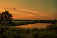Orange evening / ***