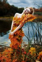 Herbst / -------------------