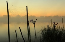 Am Rande der / ***