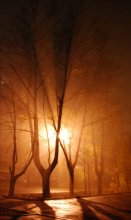 Foggy night / .........