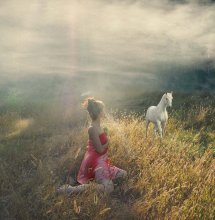 About a white horse... / ***