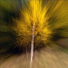 Herbst Feuerwerk / ____________