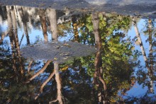 Fall impressionism / *********