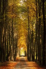 Autumn sketches / *********
