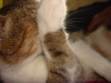 remove the camera! / **********