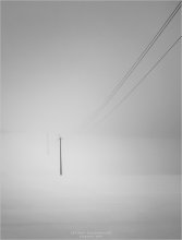 ‎[ I'm coming to you on the wire ] / ***