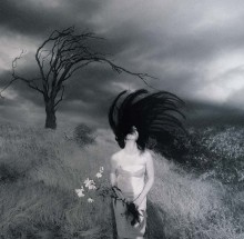 Storm wind... / ***