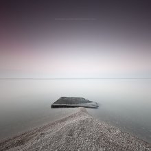  / ***