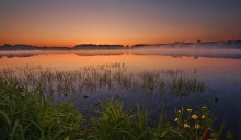 Morgendämmerung / ***